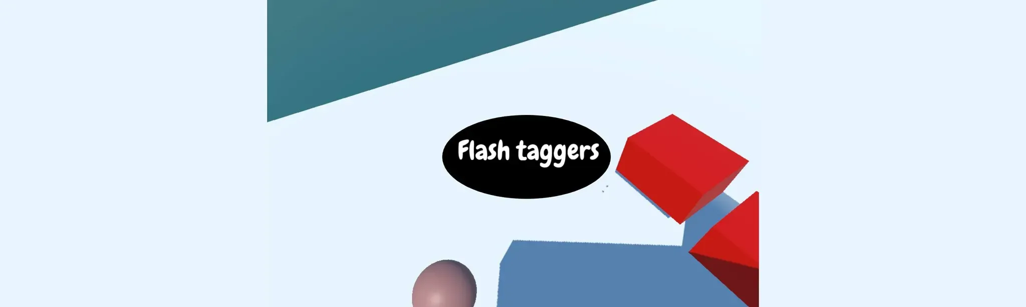 Flash taggers