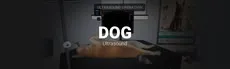 Dog Ultrasound hero image