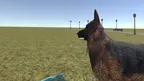 the anatomy of a dog screenshot 1