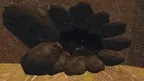 Lethal Runners screenshot 1