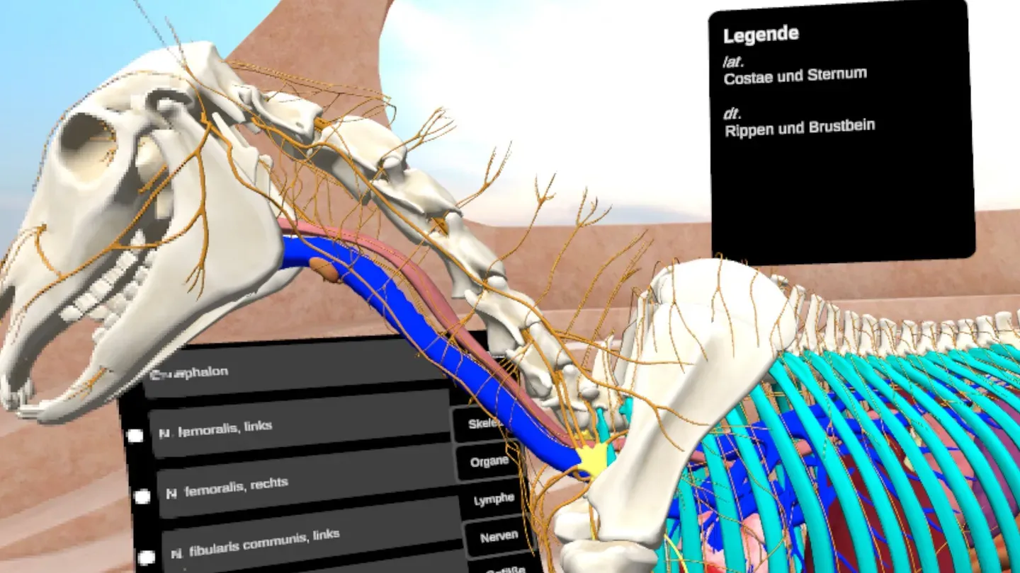 ATM Academy cover image