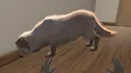 My puppy: Yellow Labrador screenshot 2