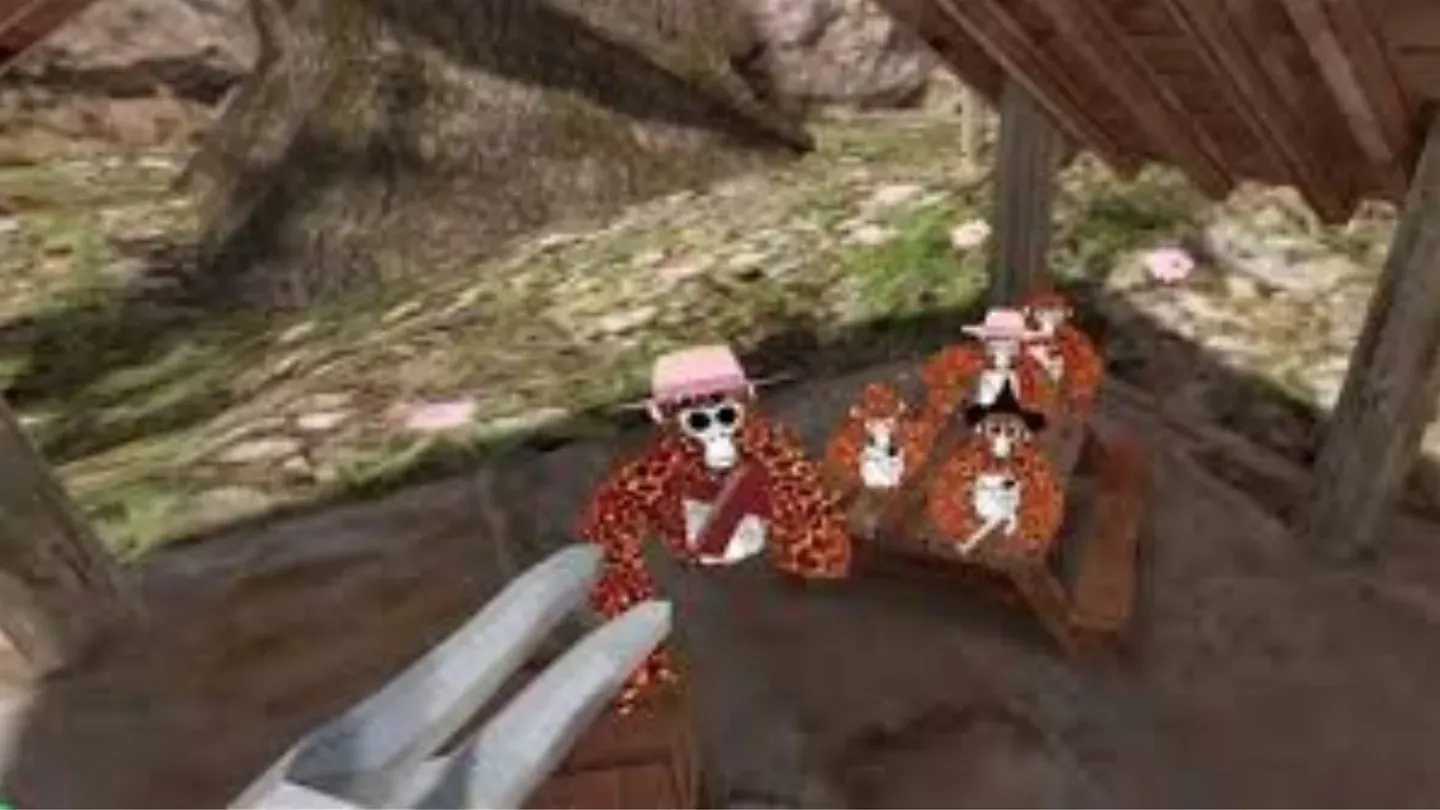 canopyXchaos cover image