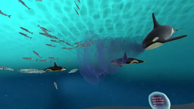 Developer update image for NEW EXPERIENCE: Seeing With Sound!