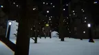Raccoon Rampage screenshot 1