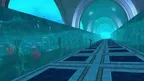 Virtual Aquarium screenshot 2