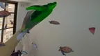 MR Fish screenshot 1