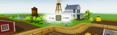Crop Craze hero image