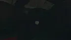 Monkis. screenshot 3