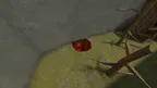 Primal Party screenshot 2