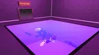 Cat  Playground screenshot 1
