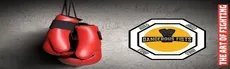 Dangerous Fists hero image
