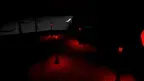 Gorilla HELL screenshot 1