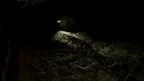 CapuCorp Revived screenshot 4