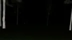 OG Fun Monke Horror screenshot 1