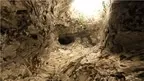 Primate Fear screenshot 4