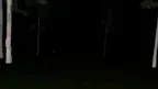 Fun Monke Horror screenshot 3