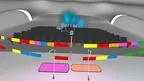 NUSU - Play to learn music screenshot 2
