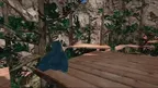 Old Gorilla Tag screenshot 3