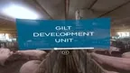 360 tour of Lyngbogaard screenshot 2