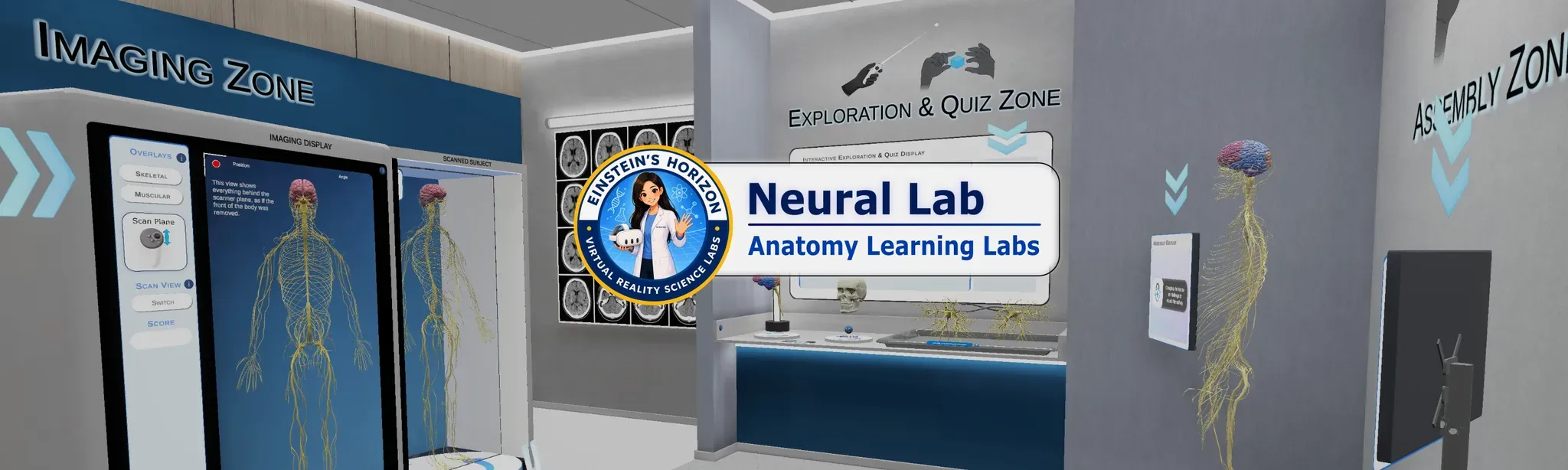 Anatomy Learning Labs: Neural Lab