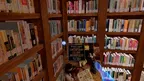 Lanier Theological Library screenshot 1