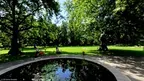 Walk in the Park 360° screenshot 3