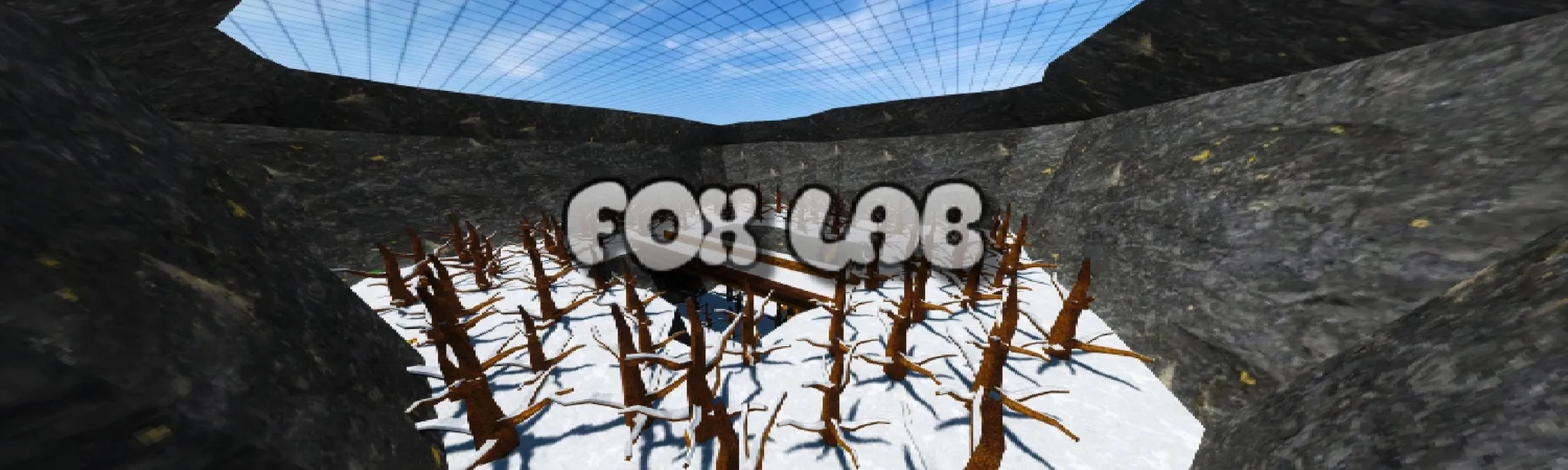 Fox Lab hero image