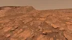 Planetary Vitals screenshot 5