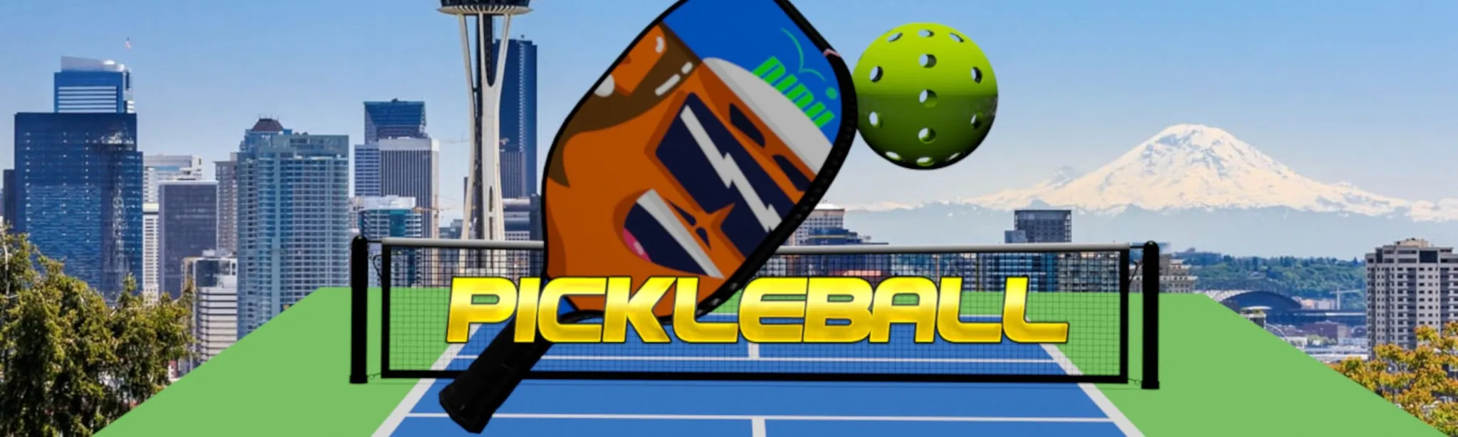 Pickleball hero image