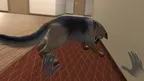 My puppy: Shepherd screenshot 1