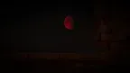 Monkaphobia screenshot 3