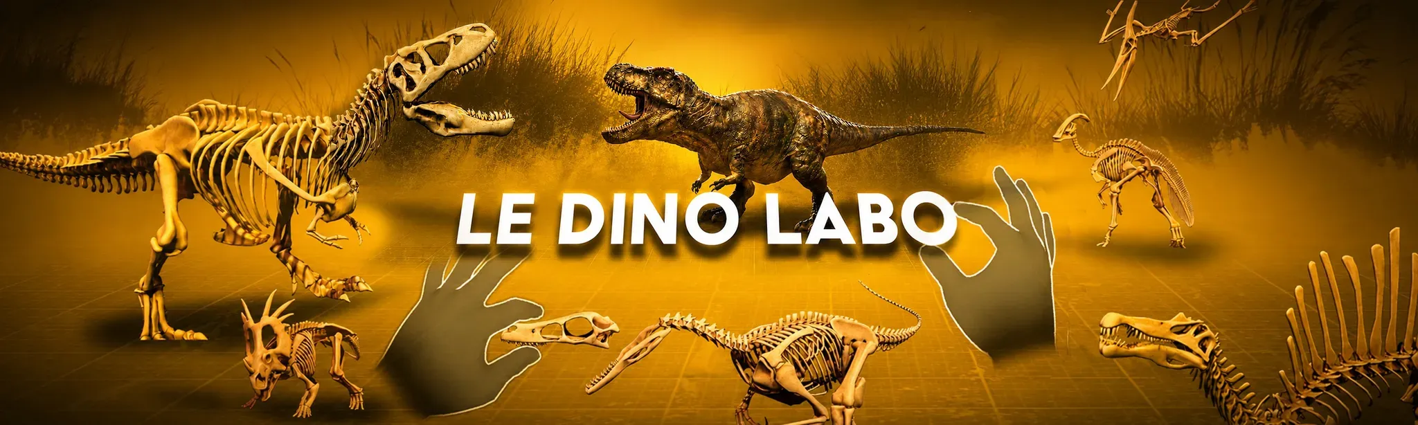 Le Dino Labo