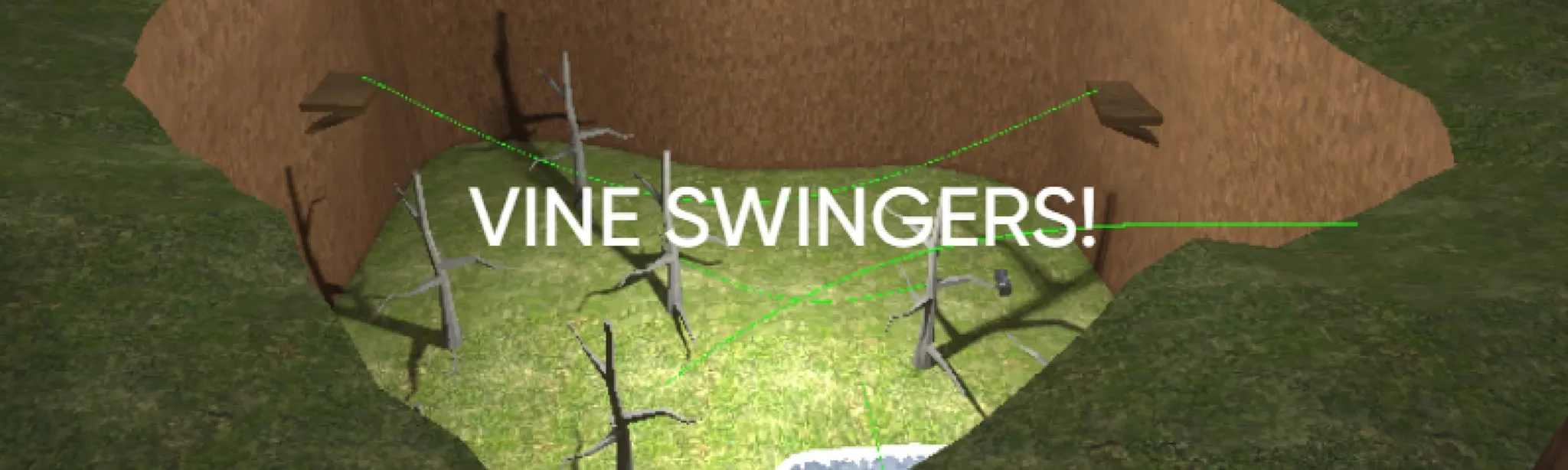 Vine Swingers hero image
