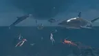 AAA Sailor screenshot 5