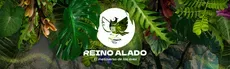 Birdwatching in El Reino Alado hero image