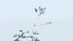 White Space screenshot 4