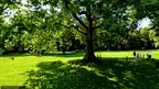 Walk in the Park 360° screenshot 4