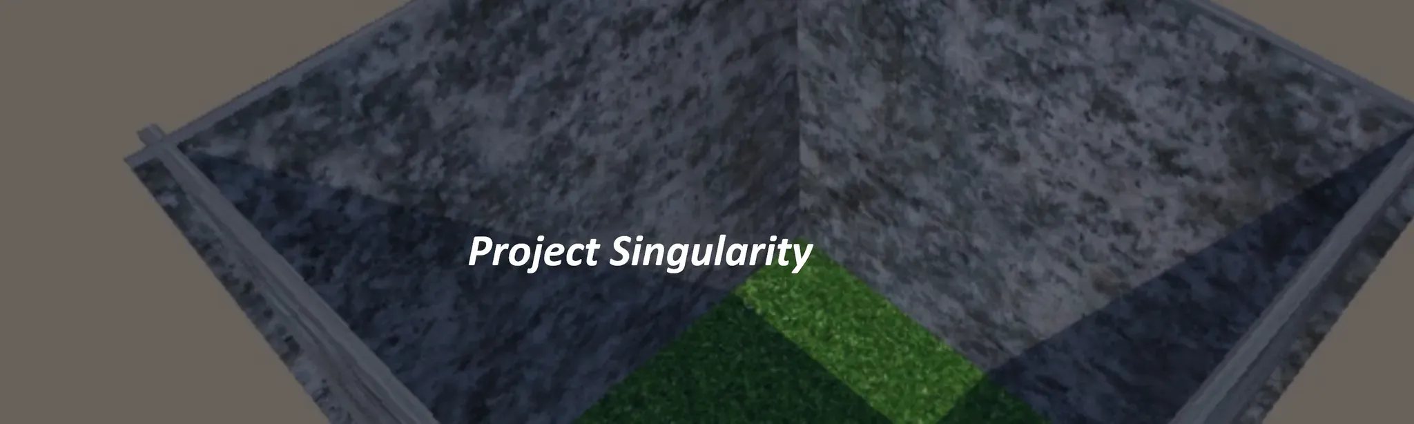 Project Singularity