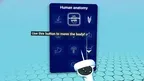 Human Anatomy screenshot 3