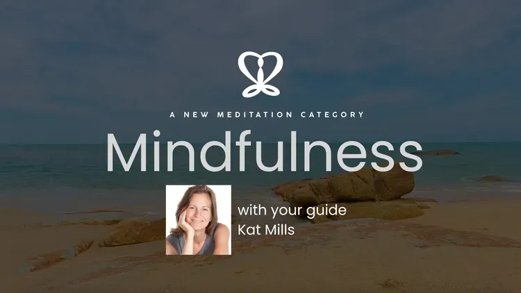 Developer update image for Meet Kat