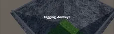 Tagging Monkeys hero image