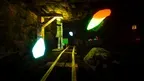 Lost Apes screenshot 0