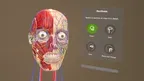 Corpus | Anatomy screenshot 2