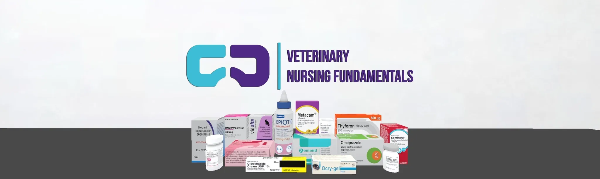 Veterinary Nursing Fundamentals