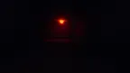 Scary Chimpss screenshot 0