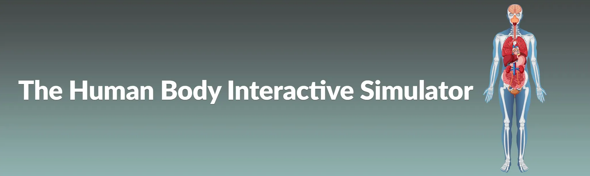 The Human Body Interactive Simulator