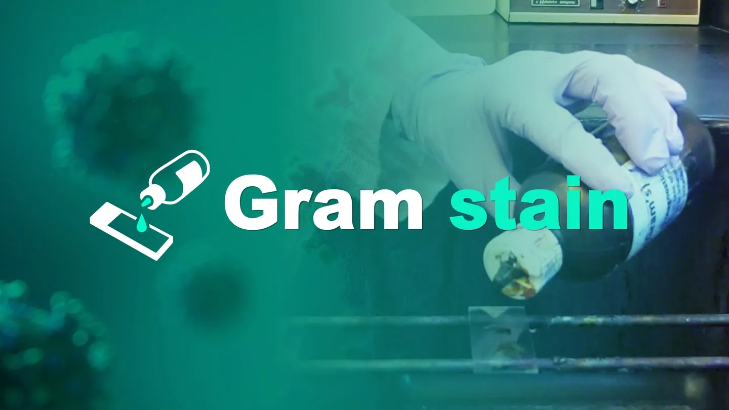 Gram stain trailer 0