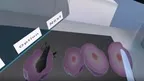 Cell Division Experiment - ContentsDa Science Experiment screenshot 2
