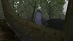 Lepidoptera screenshot 1
